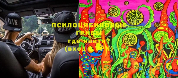 прущая мука Алзамай